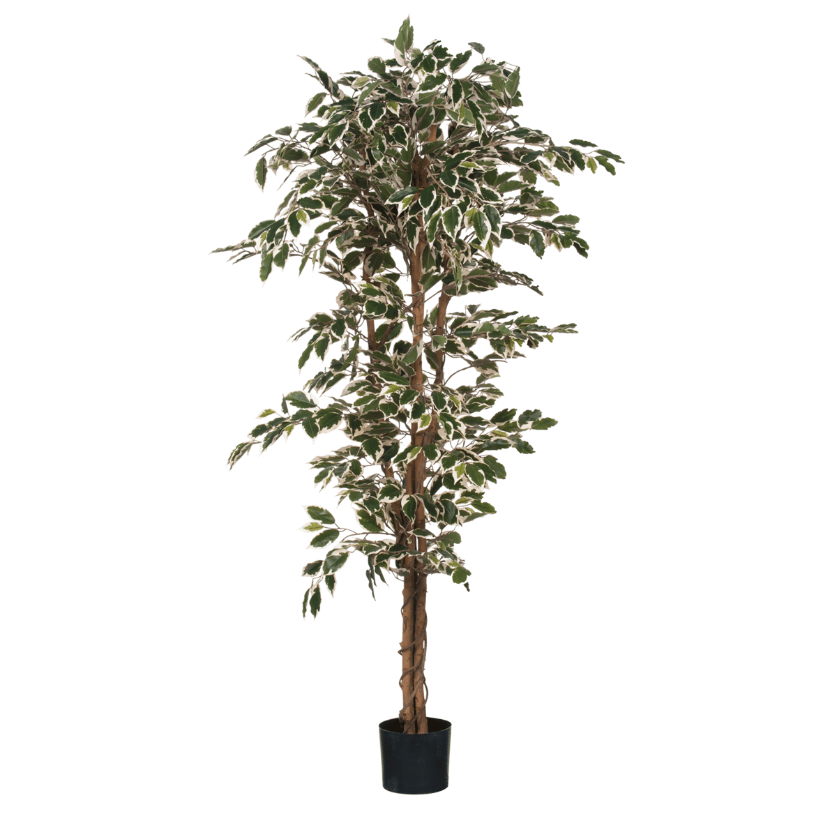 ficus kunstplant